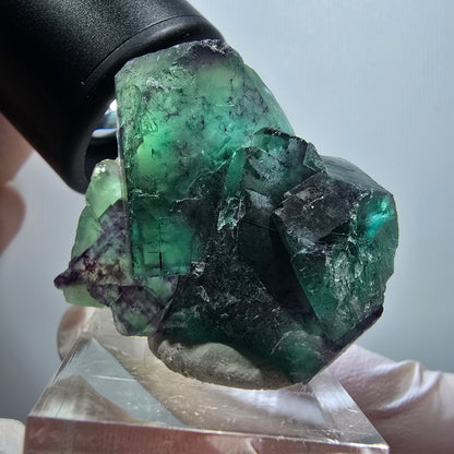 Rare spécimen de cube de fluorite fantôme, vert-violet, Okorusu, Namibie, 38*31*20 mm #11804 