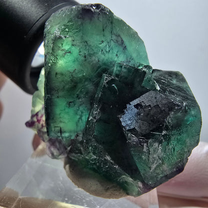 Rare spécimen de cube de fluorite fantôme, vert-violet, Okorusu, Namibie, 38*31*20 mm #11804 