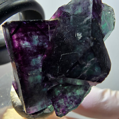Seltene Phantom Fluorit Würfel Stufe, grün lila Okorusu, Namibia 40*29*30mm #11805