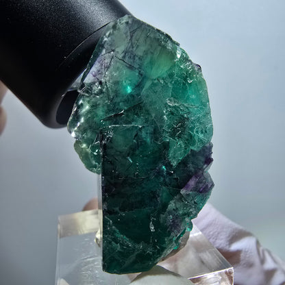 Rare spécimen de cube de fluorite fantôme, vert-violet, Okorusu, Namibie, 41*29*20 mm #11807 
