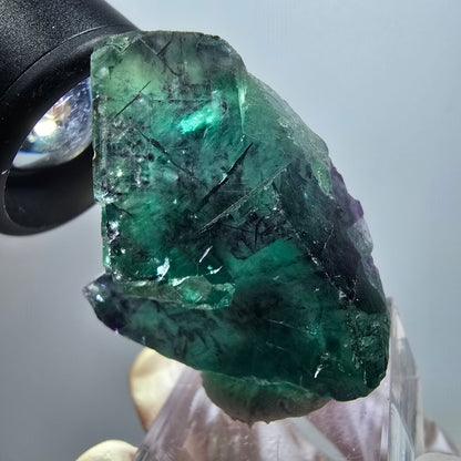 Rare spécimen de cube de fluorite fantôme, vert-violet, Okorusu, Namibie, 41*29*20 mm #11807 