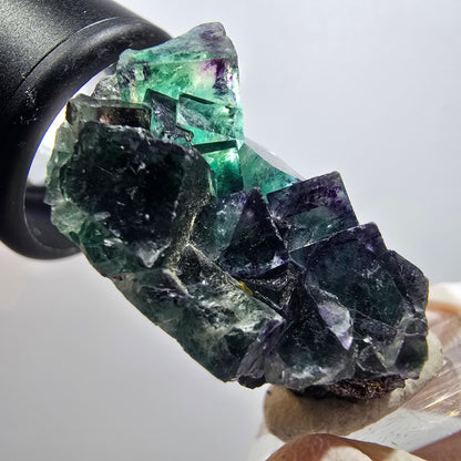 Rare spécimen de cube de fluorite fantôme, vert-violet, Okorusu, Namibie, 50*35*20 mm #11808 