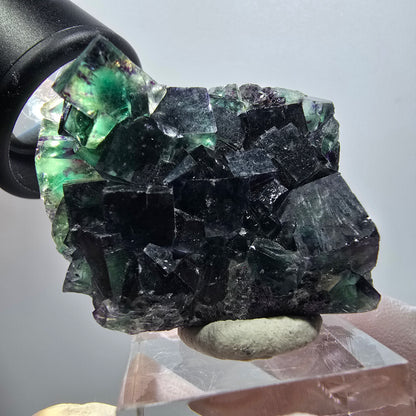 Rare spécimen de cube de fluorite fantôme, vert-violet, Okorusu, Namibie, 50*35*20 mm #11808 