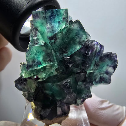 Rare phantom fluorite cube specimen, green-purple, Okorusu, Namibia, 43*42*15mm #11809 