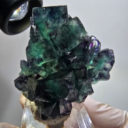 Rare phantom fluorite cube specimen, green-purple, Okorusu, Namibia, 43*42*15mm #11809 