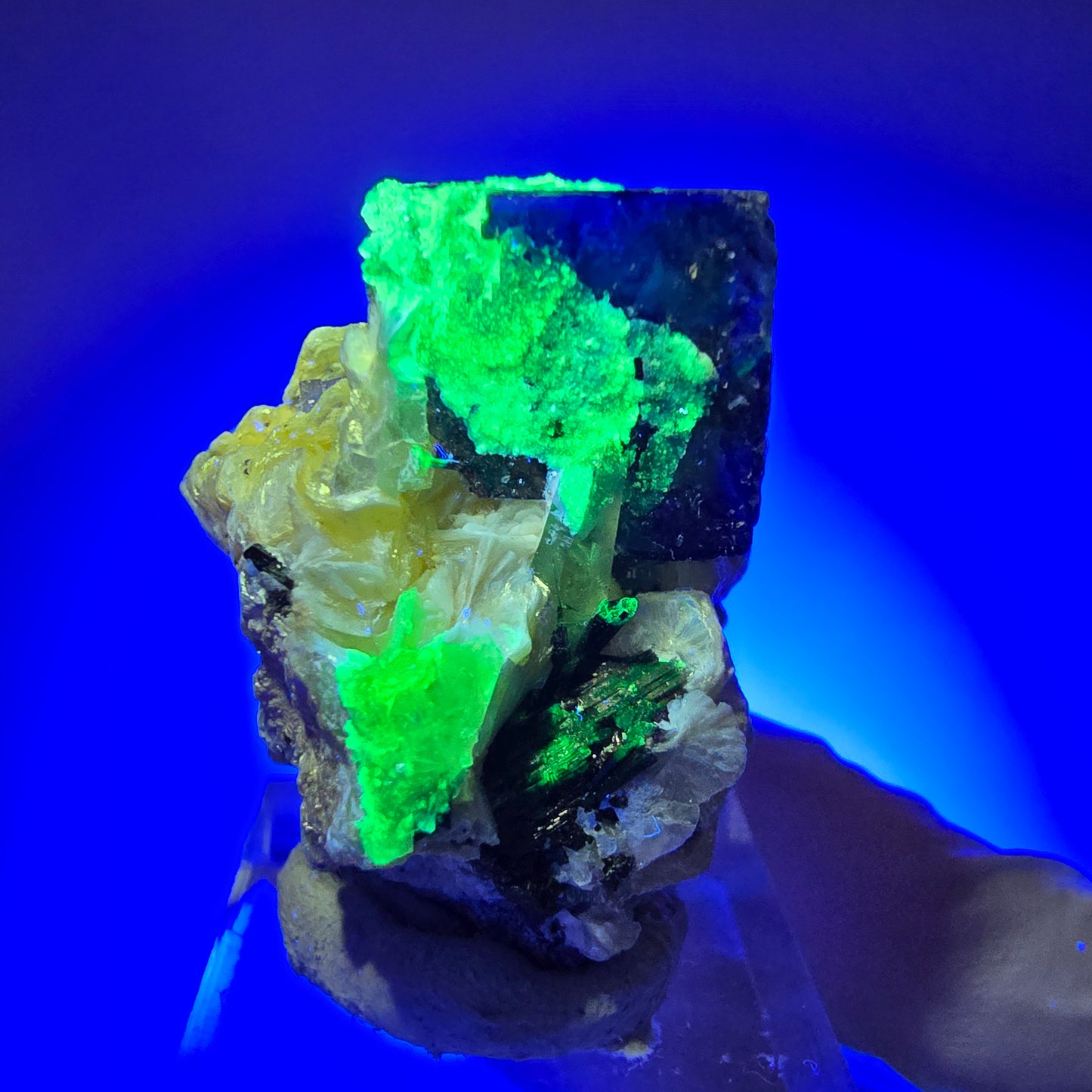 Phantom Fluorite, Muscovite, Hyalite, Schörl Tourmaline, Smoky Quartz Erongo, Namibia 38*36*27mm #11814 