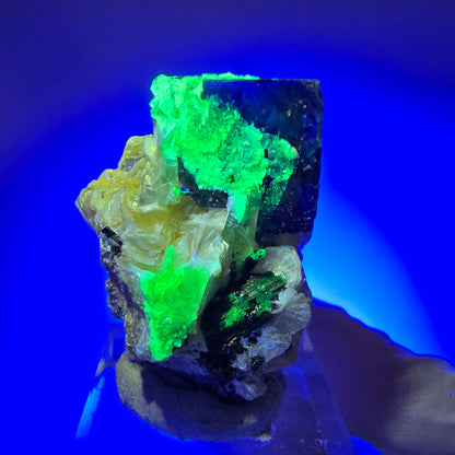 Phantom Fluorite, Muscovite, Hyalite, Schörl Tourmaline, Smoky Quartz Erongo, Namibia 38*36*27mm #11814 