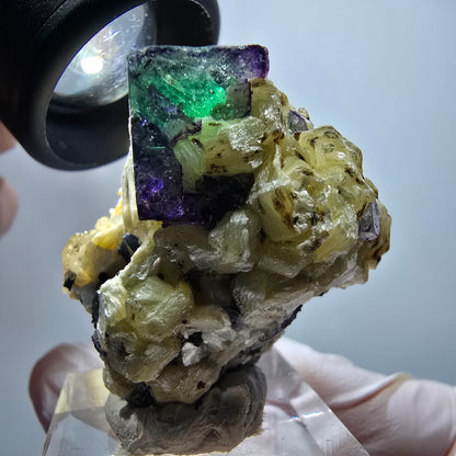 Phantom Fluorite, Muscovite, Hyalite, Schörl Tourmaline, Smoky Quartz Erongo, Namibia 38*36*27mm #11814 