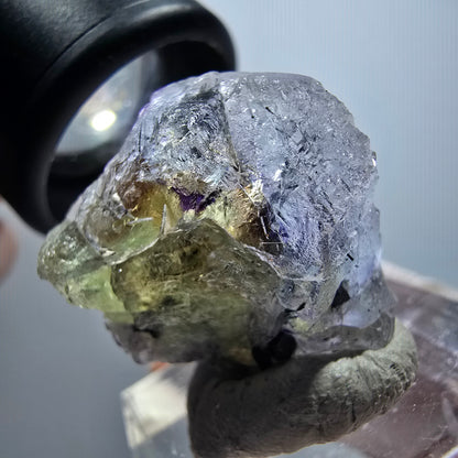 Clear Phantom Fluorite, Schörl Tourmaline Stage Erongo, Namibia 27*23*20mm #11816 