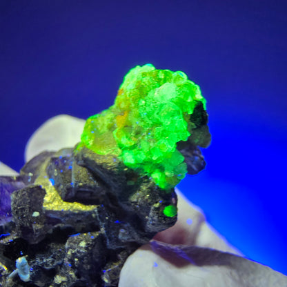Spécimen de fluorite fantôme colorée, muscovite, hyalite, tourmaline schorl, Erongo, Namibie 31*21*15mm #11817 