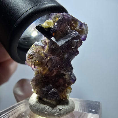Spécimen de fluorite fantôme colorée, muscovite, hyalite, tourmaline schorl, Erongo, Namibie 31*21*15mm #11817 