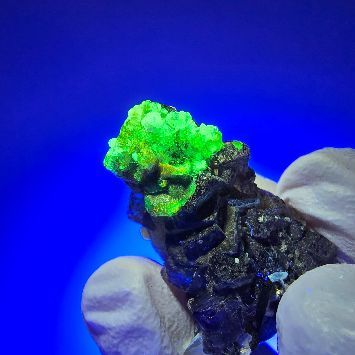 Spécimen de fluorite fantôme colorée, muscovite, hyalite, tourmaline schorl, Erongo, Namibie 31*21*15mm #11817 