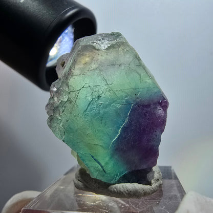 Platine cubique en fluorite Phantom, Omehane vert-violet étagé, Namibie 35*34*23mm #11823 