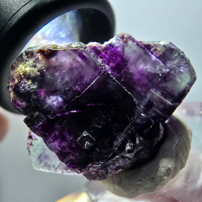 Rare spécimen de cube de fluorite fantôme, vert-violet, Okorusu, Namibie, 29*27*13 mm #11824 