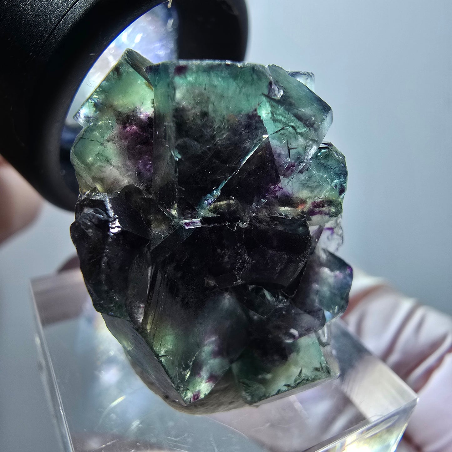 Rare spécimen de cube de fluorite fantôme, vert-violet, Okorusu, Namibie, 30*21*14 mm #11825 