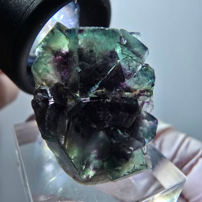 Rare spécimen de cube de fluorite fantôme, vert-violet, Okorusu, Namibie, 30*21*14 mm #11825 