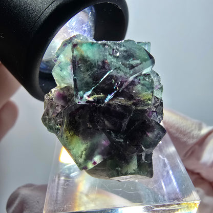 Rare spécimen de cube de fluorite fantôme, vert-violet, Okorusu, Namibie, 30*21*14 mm #11825 