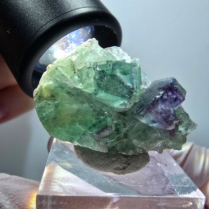 Rare spécimen cubique de fluorite fantôme, vert-violet, Okorusu, Namibie, 32*23*14 mm #11826 