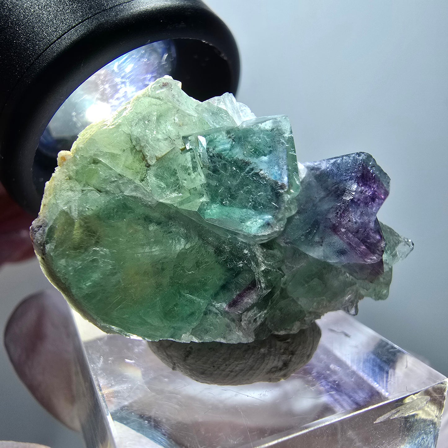 Rare spécimen cubique de fluorite fantôme, vert-violet, Okorusu, Namibie, 32*23*14 mm #11826 