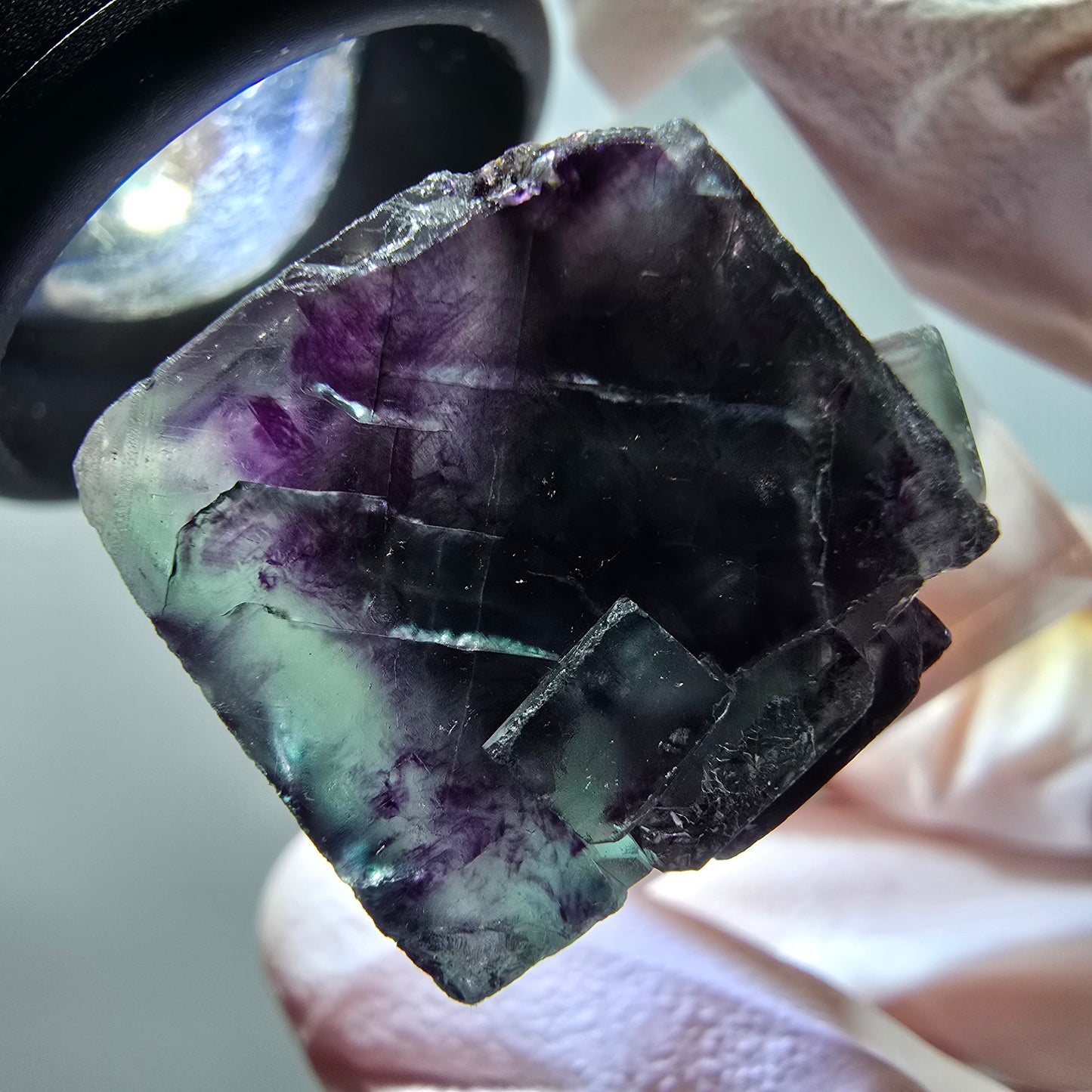 Rare spécimen de cube de fluorite fantôme, vert-violet, Okorusu, Namibie, 29*18*15 mm #11828 
