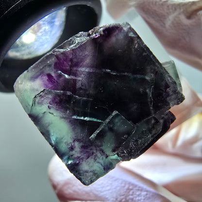 Rare spécimen de cube de fluorite fantôme, vert-violet, Okorusu, Namibie, 29*18*15 mm #11828 