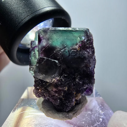 Rare spécimen de cube de fluorite fantôme, vert-violet, Okorusu, Namibie, 29*18*15 mm #11828 