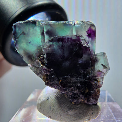 Rare spécimen de cube de fluorite fantôme, vert-violet, Okorusu, Namibie, 29*18*15 mm #11828 