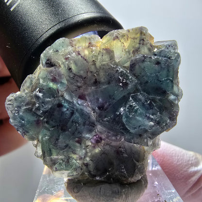 Rare spécimen de cube de fluorite fantôme, vert-violet, Okorusu, Namibie, 35*32*13 mm #11830 
