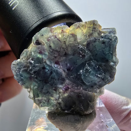 Rare spécimen de cube de fluorite fantôme, vert-violet, Okorusu, Namibie, 35*32*13 mm #11830 