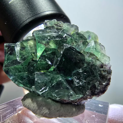Rare spécimen de cube de fluorite fantôme, vert-violet, Okorusu, Namibie, 36*28*13 mm #11831 