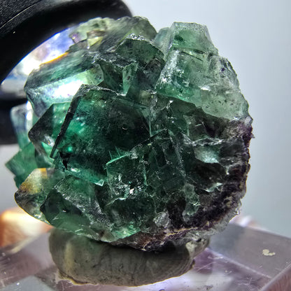 Rare spécimen de cube de fluorite fantôme, vert-violet, Okorusu, Namibie, 36*28*13 mm #11831 