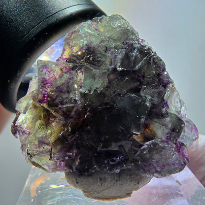 Rare spécimen de cube de fluorite fantôme, vert-violet, Okorusu, Namibie, 31*26*12 mm #11833 
