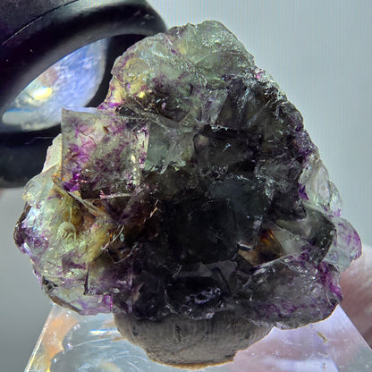 Rare spécimen de cube de fluorite fantôme, vert-violet, Okorusu, Namibie, 31*26*12 mm #11833 