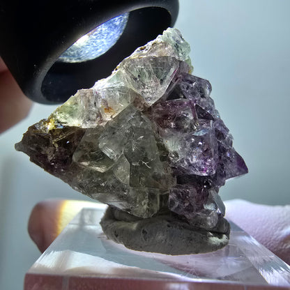 Rare spécimen de cube de fluorite fantôme, vert-violet, Okorusu, Namibie, 32*28*16 mm #11834 