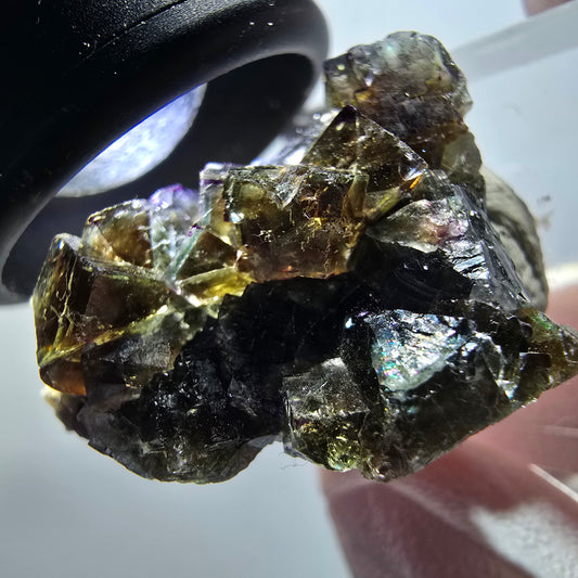 Rare phantom fluorite cube specimen, green-purple, Okorusu, Namibia, 31*29*18mm #11835 