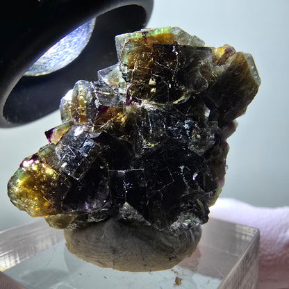 Rare spécimen de cube de fluorite fantôme, vert-violet, Okorusu, Namibie, 31*29*18 mm #11835 
