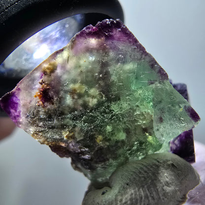 Rare spécimen de cube de fluorite fantôme, vert-violet, Okorusu, Namibie, 31*20*19 mm #11836 
