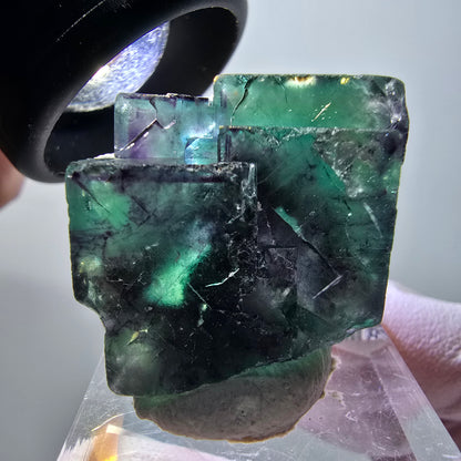 Rare spécimen de cube de fluorite fantôme, vert-violet, Okorusu, Namibie, 33*28*17mm #11838 