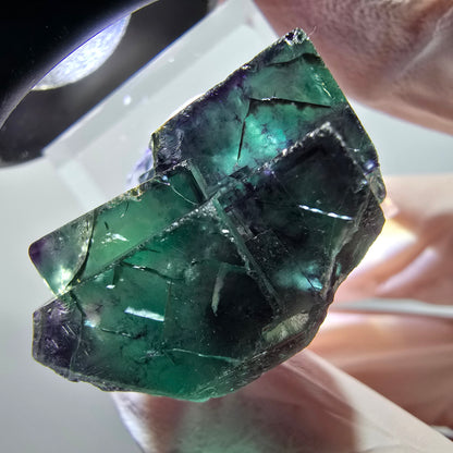 Rare spécimen de cube de fluorite fantôme, vert-violet, Okorusu, Namibie, 33*28*17mm #11838 