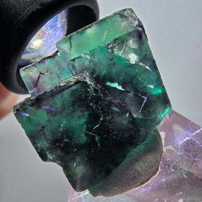 Rare spécimen de cube de fluorite fantôme, vert-violet, Okorusu, Namibie, 33*28*17mm #11838 