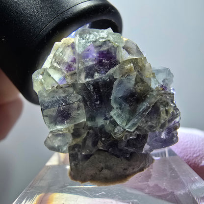 Rare spécimen de cube de fluorite fantôme, vert-violet, Okorusu, Namibie, 27*23*15mm #11840 