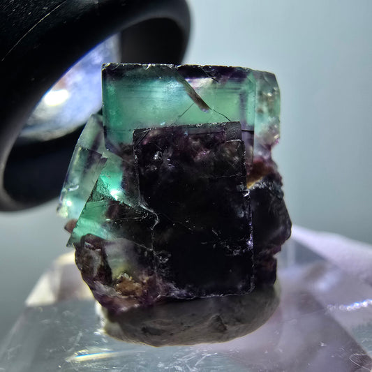 Rare spécimen de cube de fluorite fantôme, vert-violet, Okorusu, Namibie, 17*16*16 mm #11841
