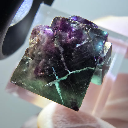 Rare spécimen de cube de fluorite fantôme, vert-violet, Okorusu, Namibie, 17*16*16 mm #11841 