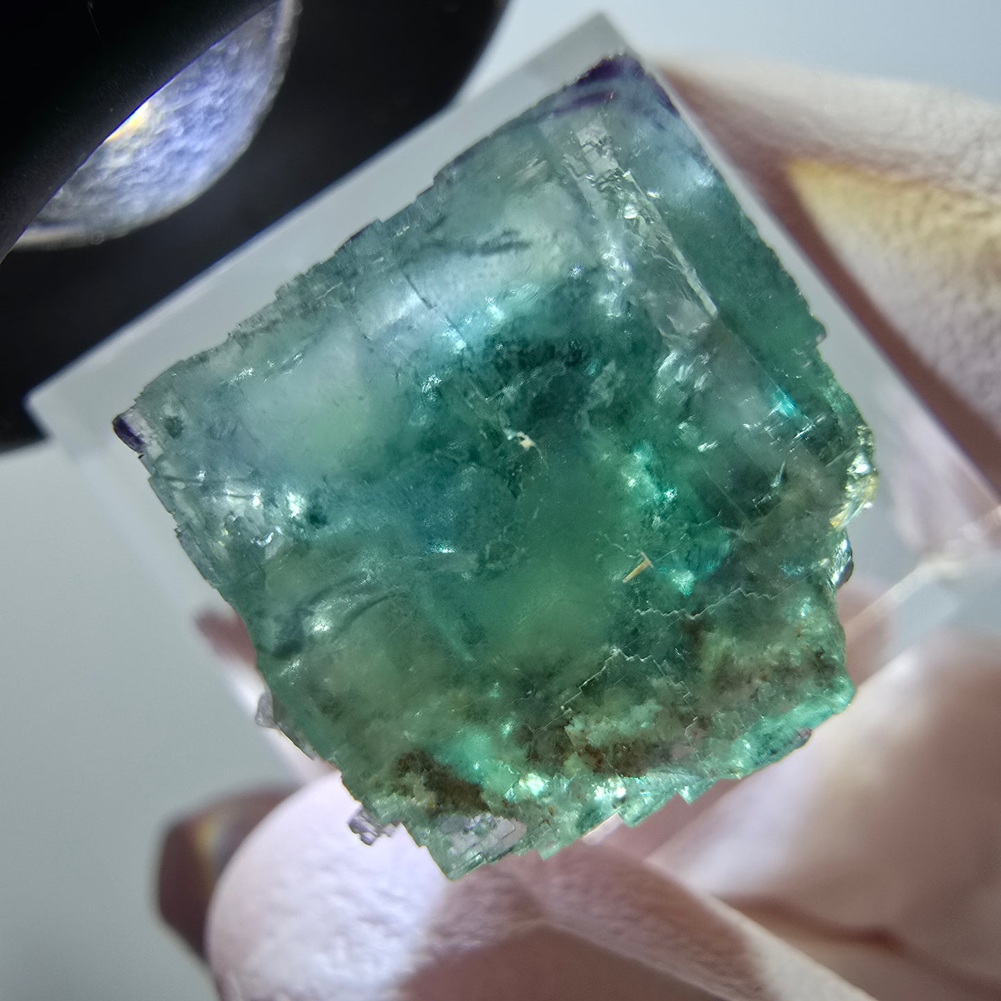 Rare spécimen de cube de fluorite fantôme, vert-violet, Okorusu, Namibie, 23*14*17 mm #11843 