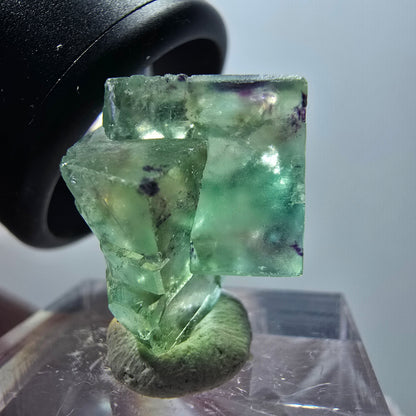 Rare spécimen de cube de fluorite fantôme, vert-violet, Okorusu, Namibie, 19*18*10 mm #11844 