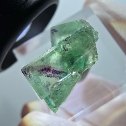 Rare spécimen de cube de fluorite fantôme, vert-violet, Okorusu, Namibie, 19*18*10 mm #11844 