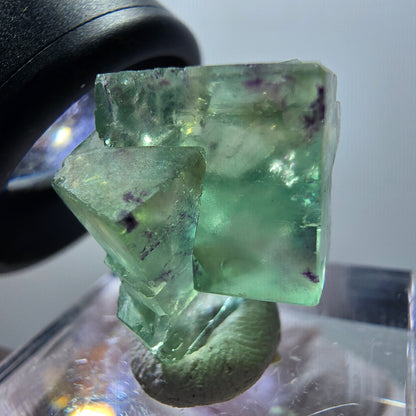 Rare spécimen de cube de fluorite fantôme, vert-violet, Okorusu, Namibie, 19*18*10 mm #11844 