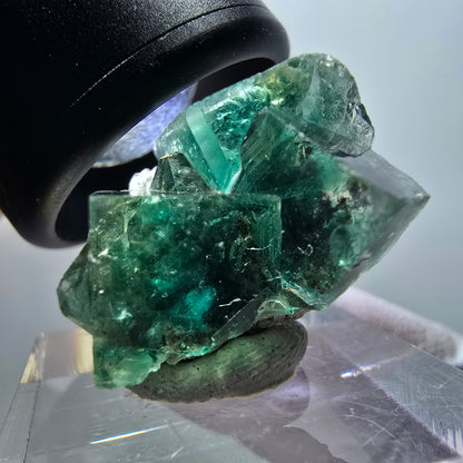 Rare spécimen de cube de fluorite fantôme, vert-violet, Okorusu, Namibie, 25*23*15 mm #11845 