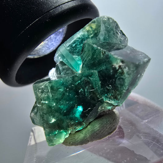Rare spécimen de cube de fluorite fantôme, vert-violet, Okorusu, Namibie, 25*23*15 mm #11845