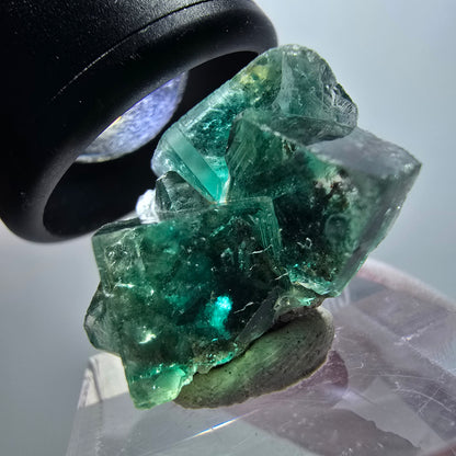 Rare spécimen de cube de fluorite fantôme, vert-violet, Okorusu, Namibie, 25*23*15 mm #11845 